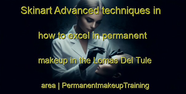Skinart Advanced techniques in how to excel in permanent makeup in the Lomas Del Tule area | PermanentmakeupTraining | PermanentmakeupClasses | SkinartTraining-Mexico